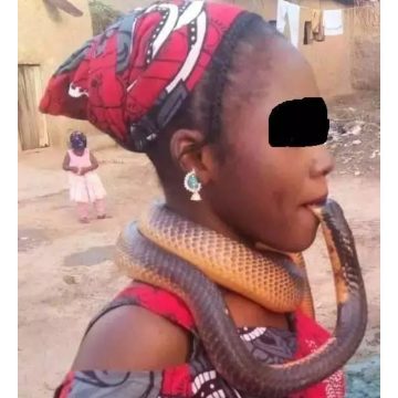 Lady plays with live Cobra in her mouth.