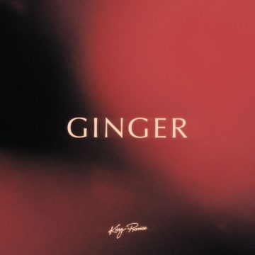 Mp3 Download King Promise – Ginger Prod. by Jae5