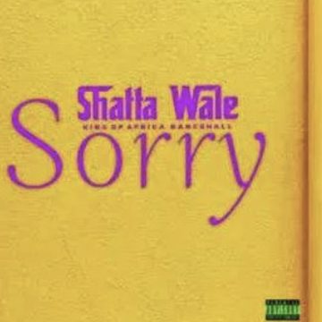 Mp3 Download Shatta Wale sorry