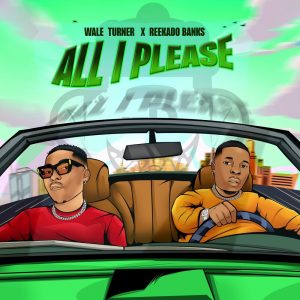 Download Wale Turner x Reekado Banks - All I Please free Mp3.png